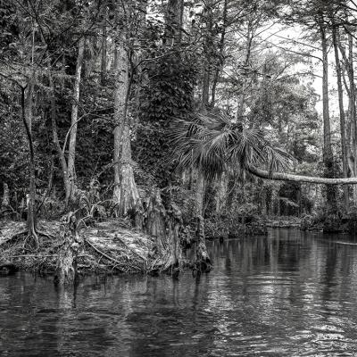Loxahatchee river